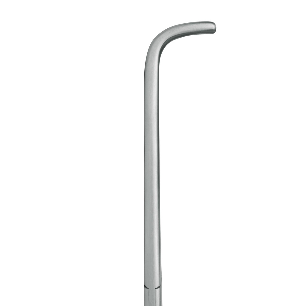 Artery Forceps Mixter (Length: 250mm, Form: curved) 