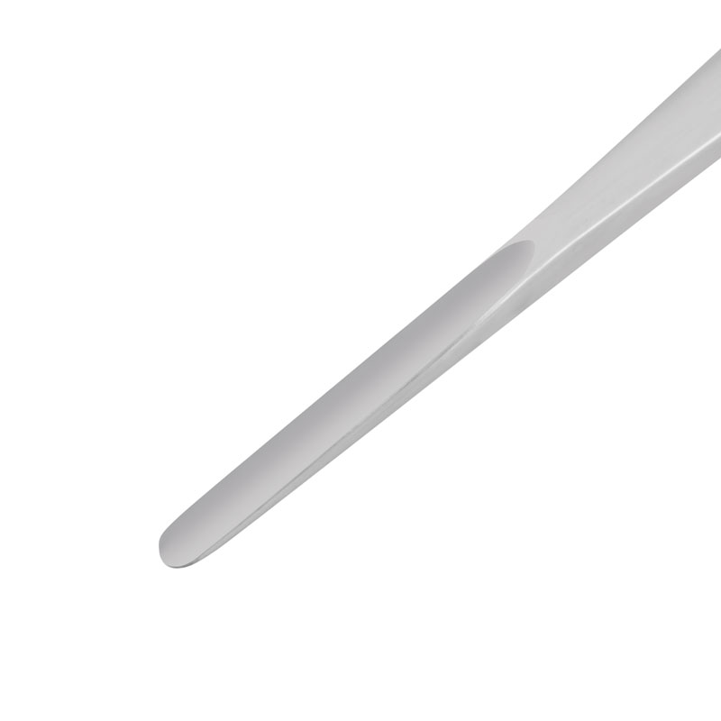 Bein Dental Elevator (2mm)