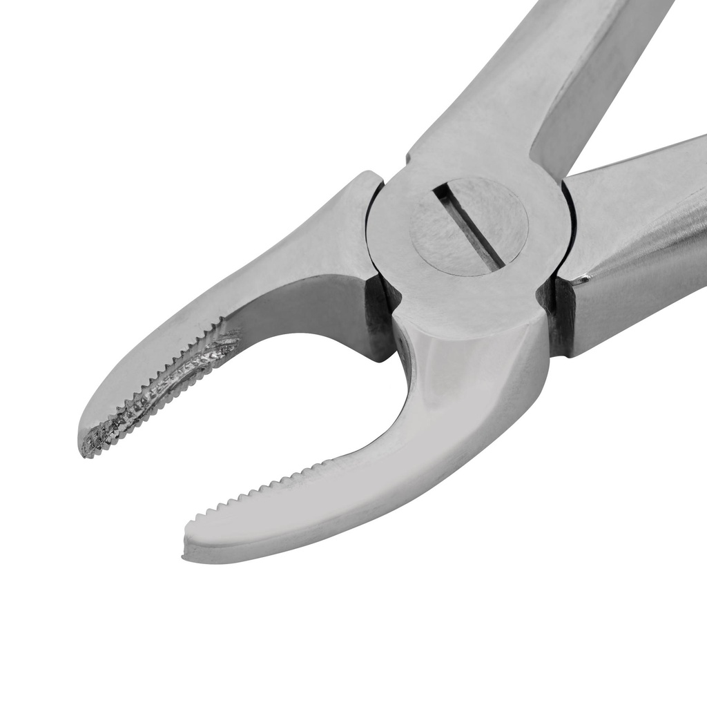 Dental Extraction Forceps (Length: 110mm, Form: Straight)