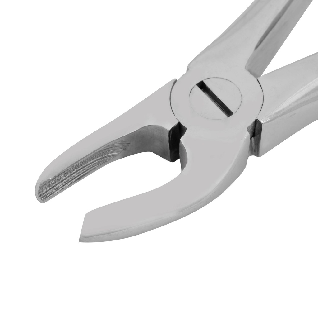 Dental Extraction Forceps, roots (Length: 165mm, Form: Straight)