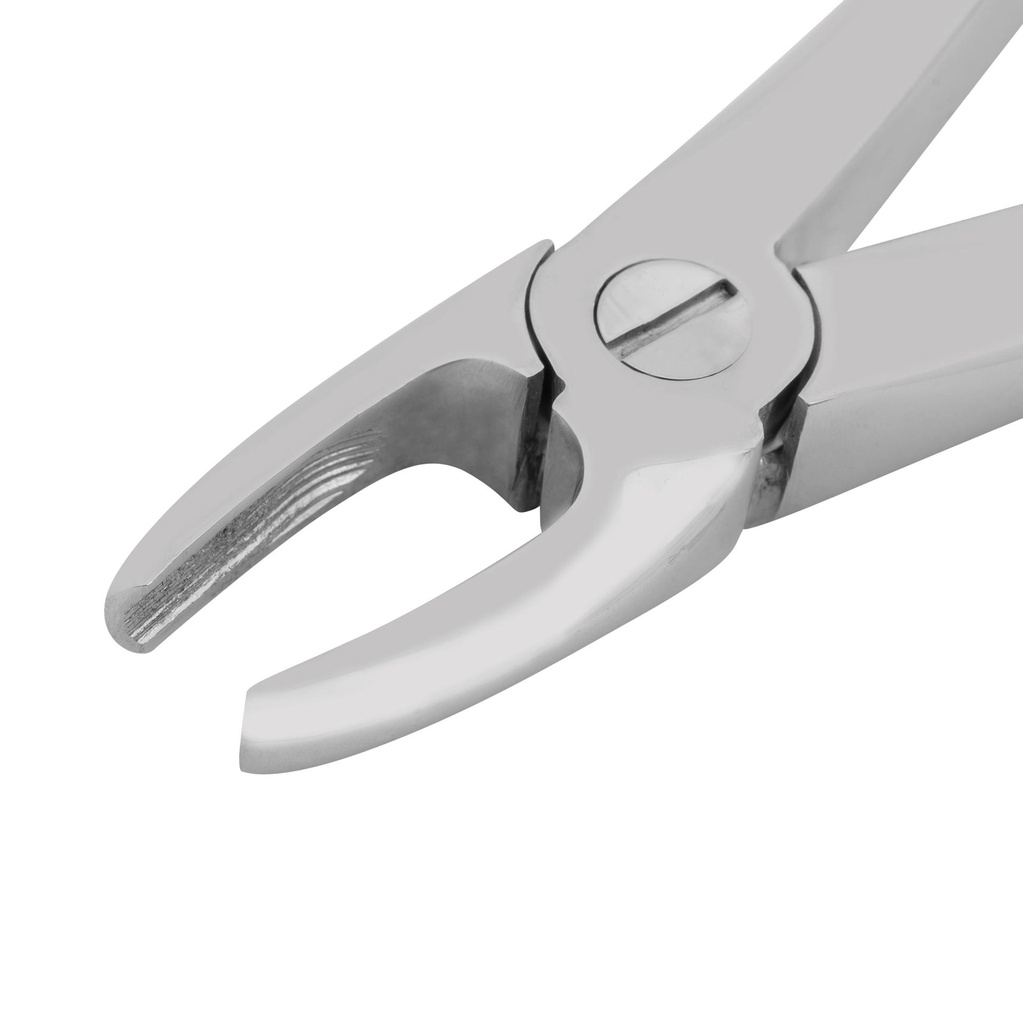 Dental Extraction Forceps (Length: 165mm, Form: Straight)