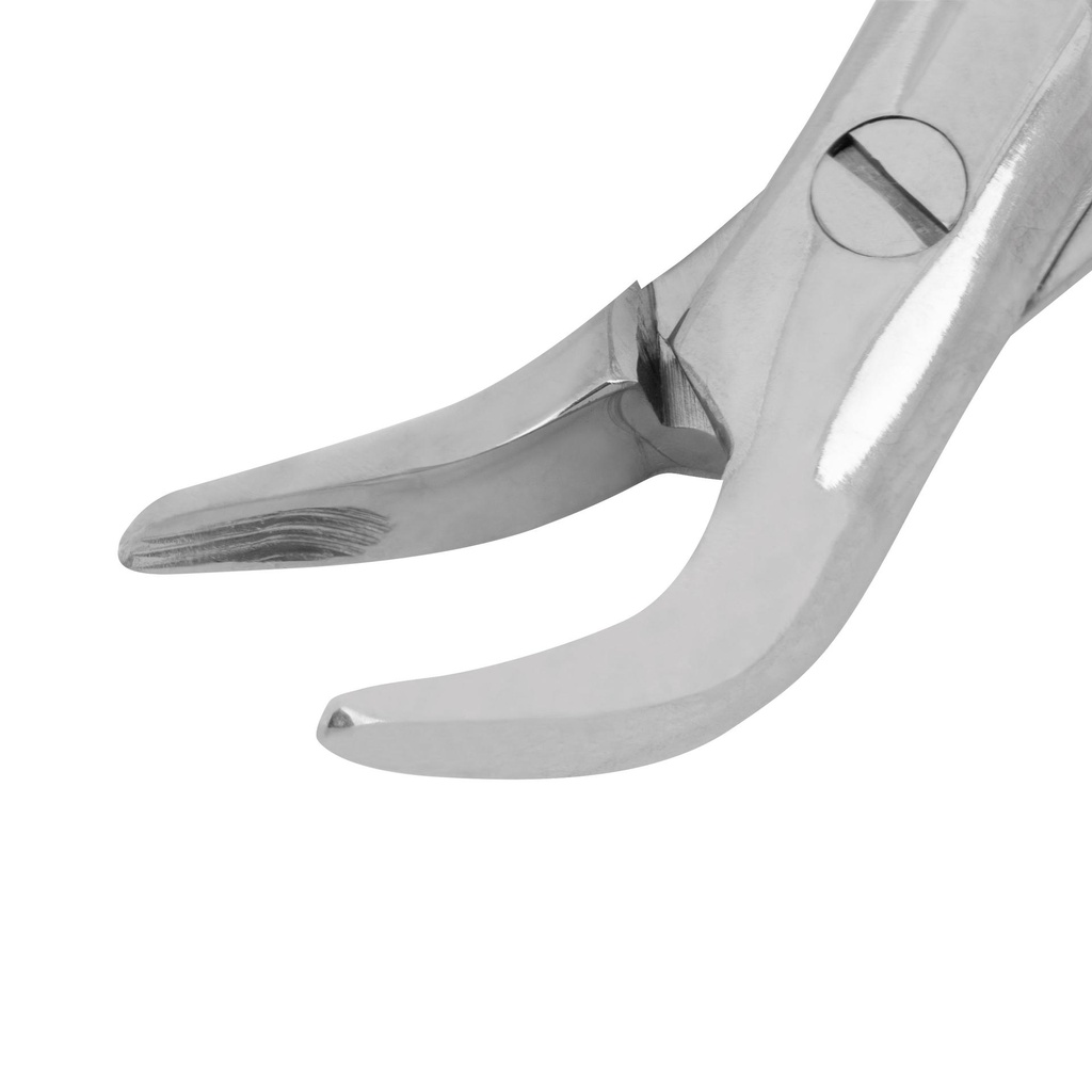 WITZEL Root Extraction Forceps
