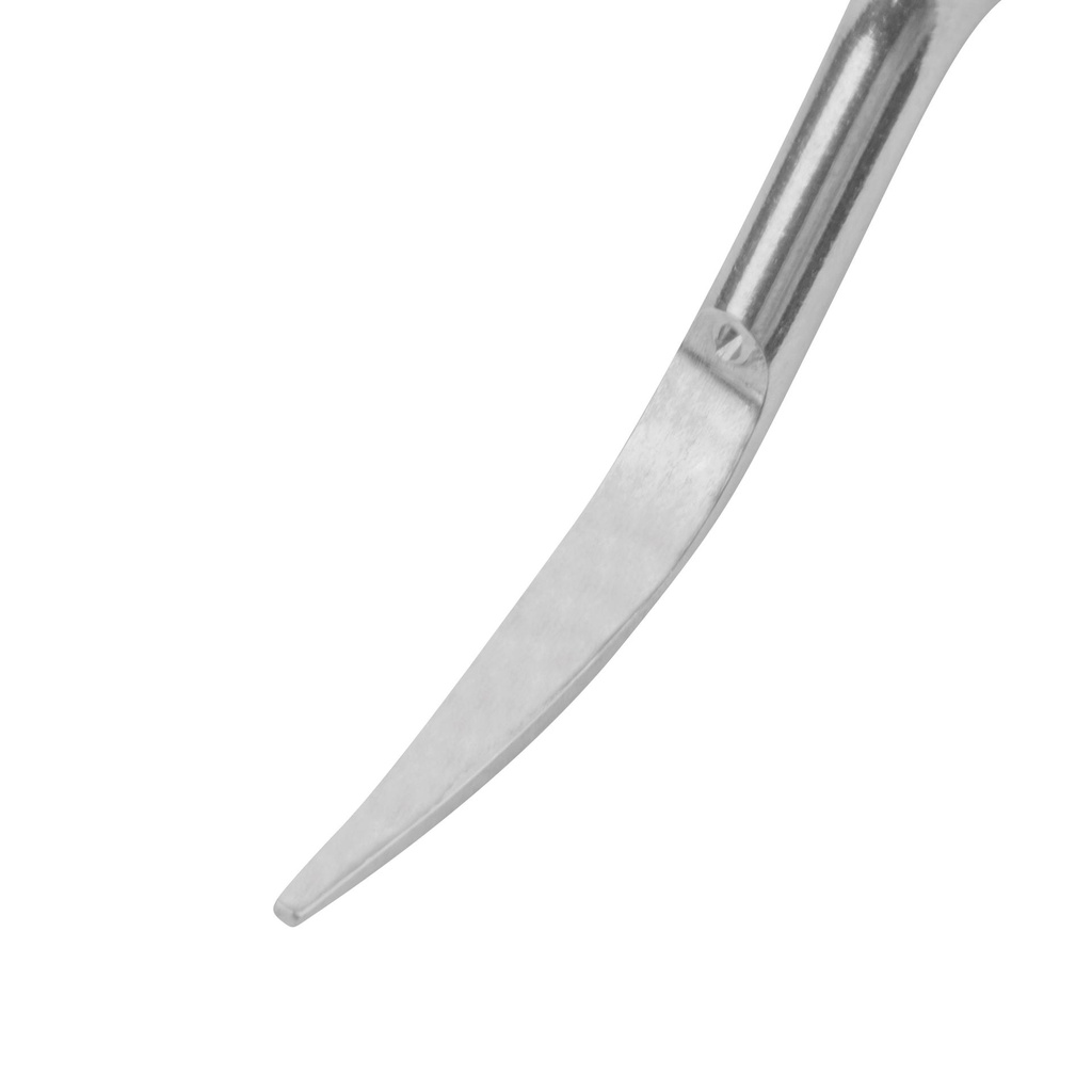 Dental Scaling Tip EickSonic GT4