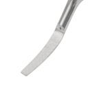 Dental Scaling Tip EickSonic GT2