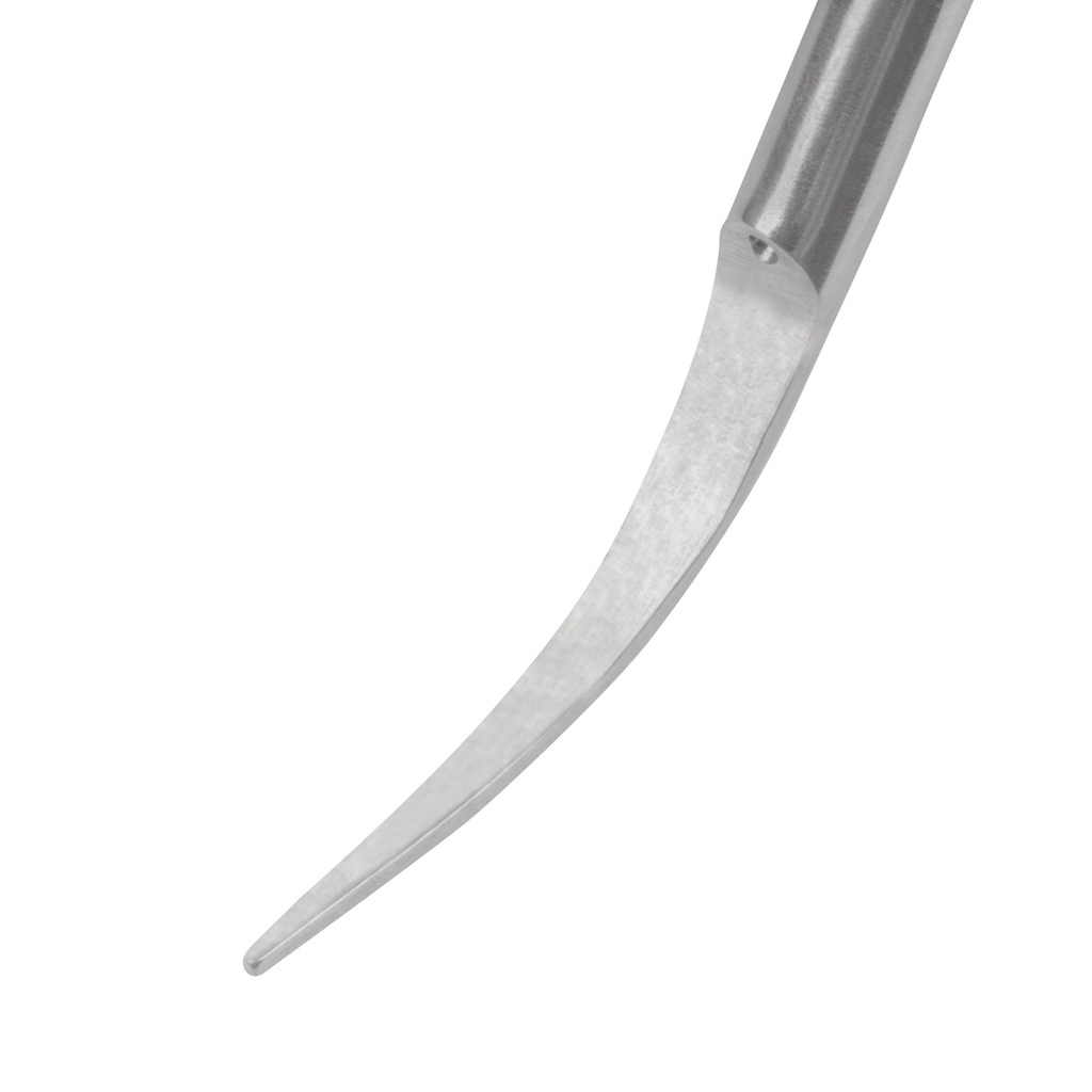 Dental Scaling Tip EickSonic P1T