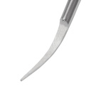 Dental Scaling Tip EickSonic P1T