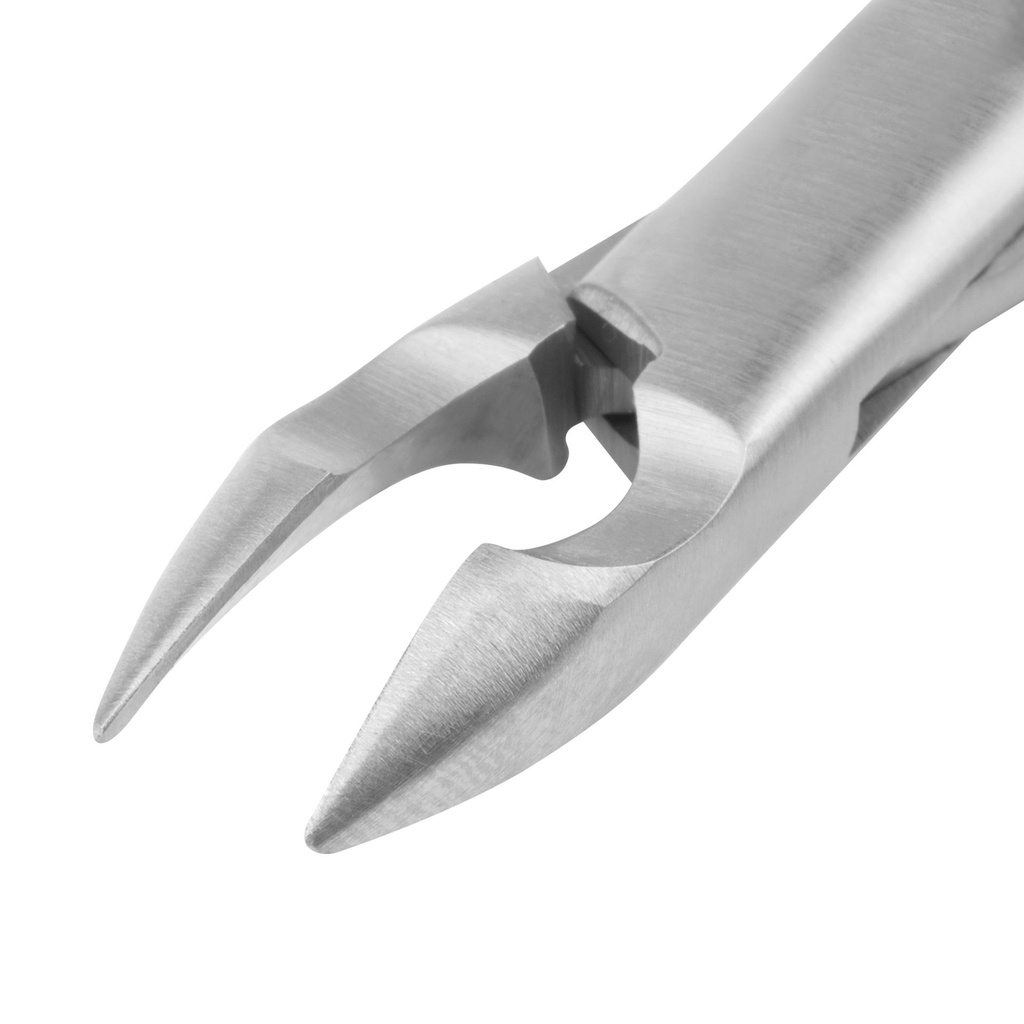 Rodent Molar Cutter