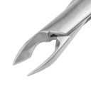 Rodent Molar Cutter