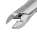 Rodent Molar Cutter - Chinchillas