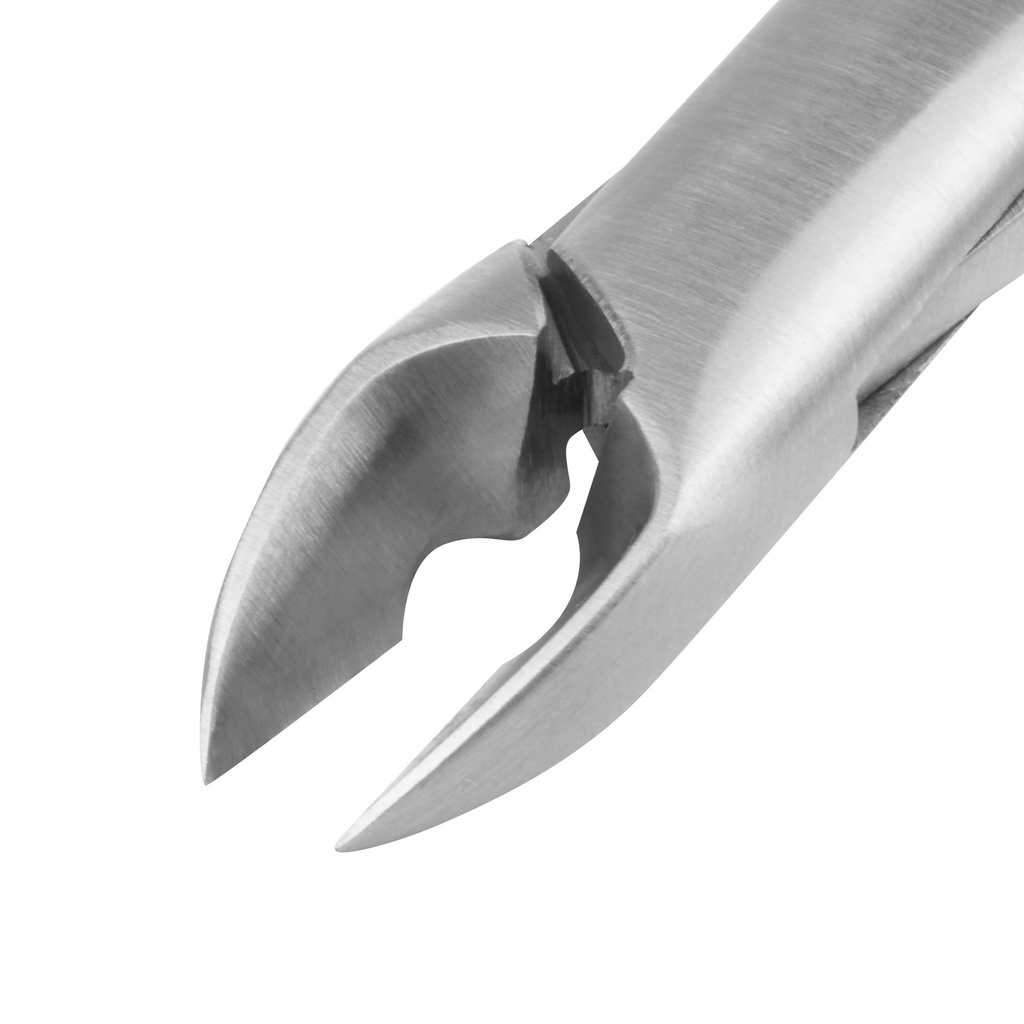 Rodent Molar Cutter - Chinchillas