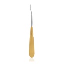 Dental Rasp Lewis - Premium