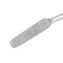 Dental Rasp Lewis - Premium