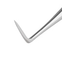 Molar Luxator Crossley