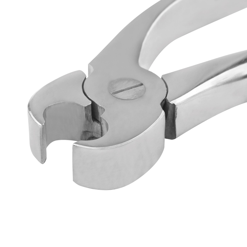 WWE Incisor and Canine Cutter