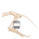 EICKEMEYER® PinCube