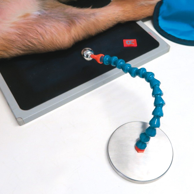 X-Ray Reference Ball