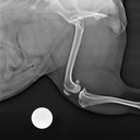 X-Ray Reference Ball