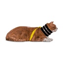 BiteNot Collar (Size 00)
