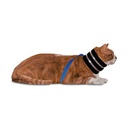 BiteNot Collar (Size 0)