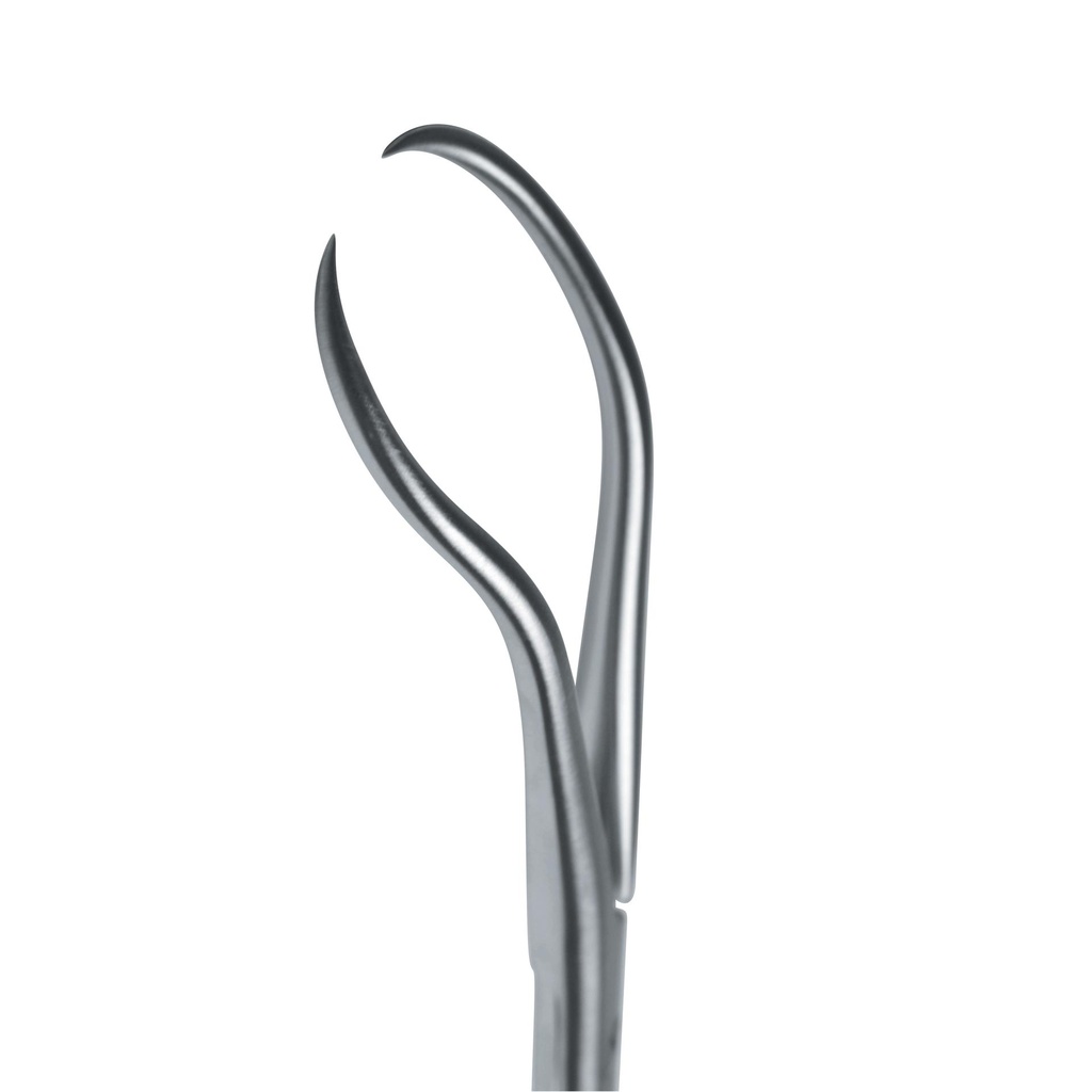 Bone Reduction Forceps Pointed Robust  (Length: 200mm)