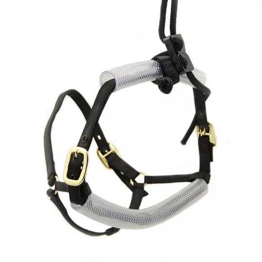 PowerFloat Dental Halter-Horse