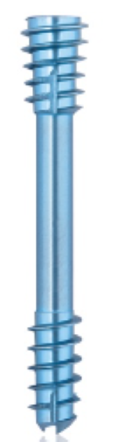 Titanium Compression Screw-CBS-, Ø 5.5 x L 40 mm