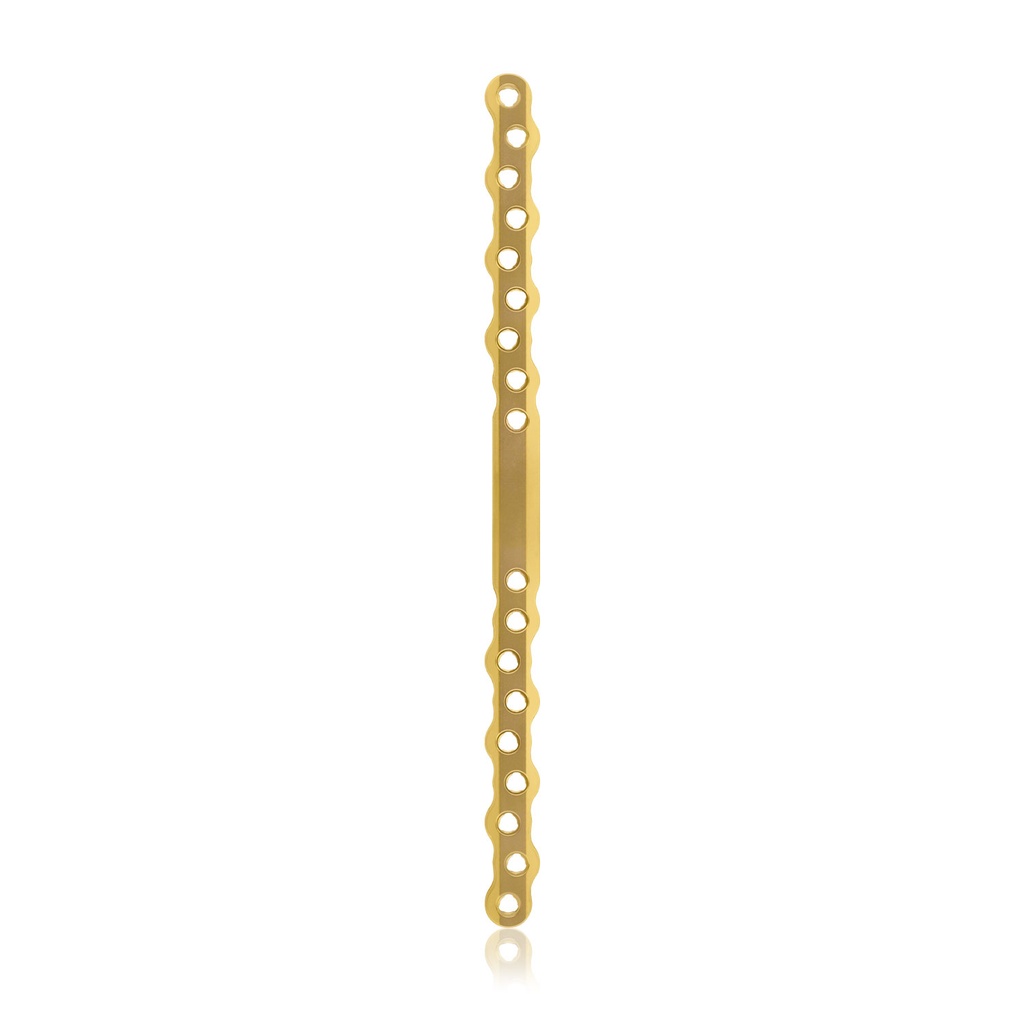 EickLoxx S-Type bone plate 18-hole, 212 x 12 x 4.5mm (Gold)