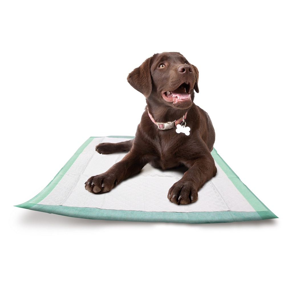 Millpledge P-Rugz 24"" x 36"" (pk 10)