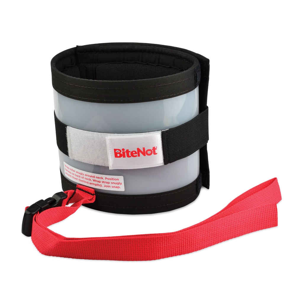BiteNot Collar (Size 4)
