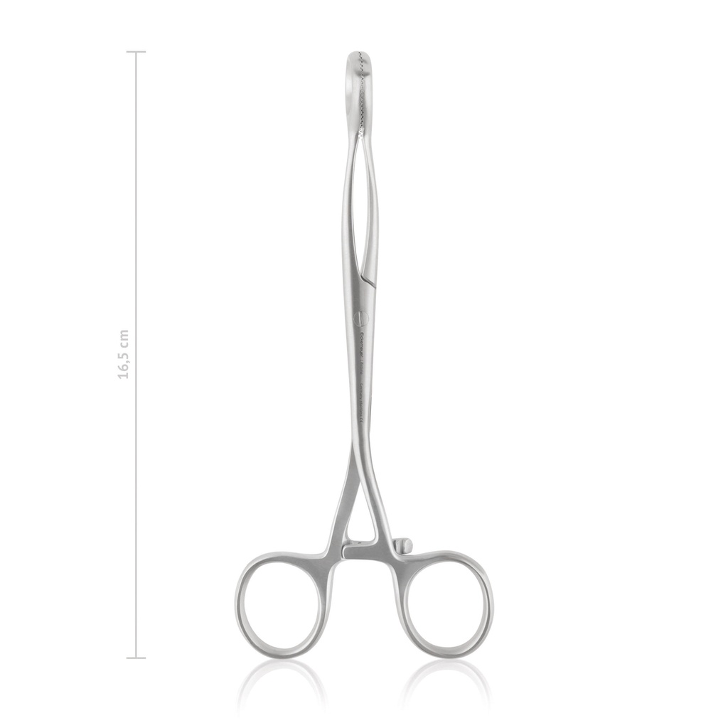 Tongue Forceps Collin