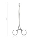Tongue Forceps Collin