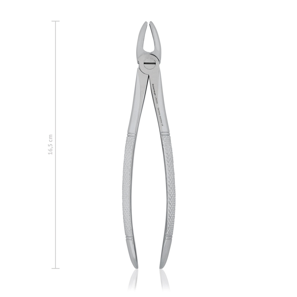 Dental Extraction Forceps (Length: 165mm, Form: Straight)
