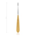 Dental Rasp Lewis - Premium