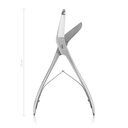 Plaster Shear Seutin