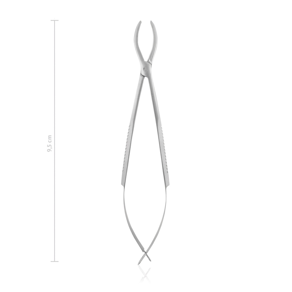 Cilia Forceps GRADLE