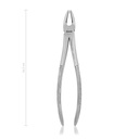 Dental Extraction Forceps - Diamond coated, (Length: 165mm)