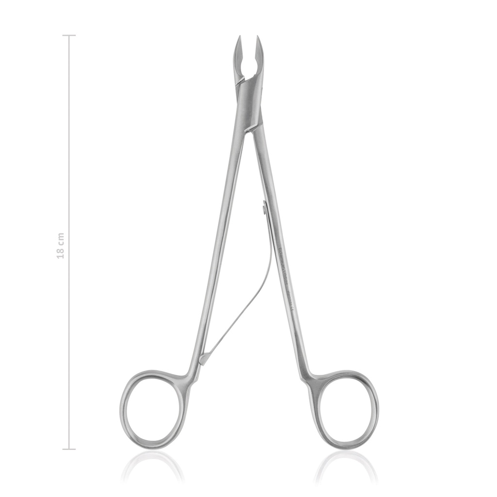 Rodent Molar Cutter