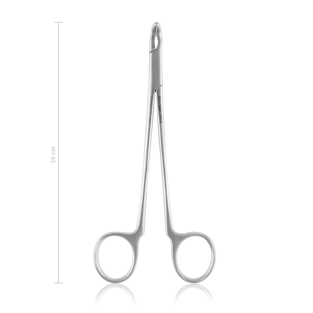 Molar Extraction Forceps