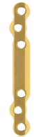 EickLoxx Large Bone Plate - 6-hole Long (L:80mm) Gold