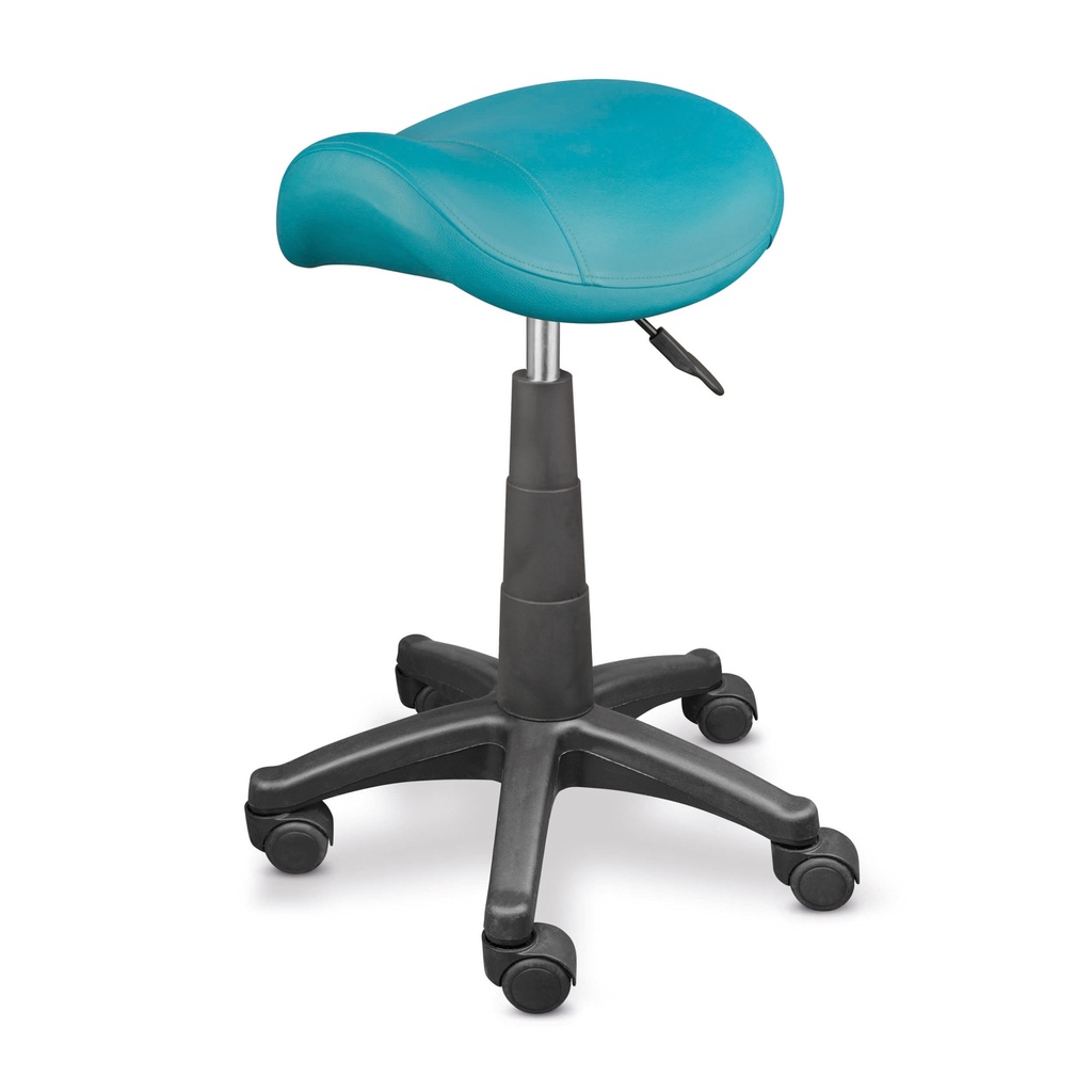 ZWEEZI Saddle Stool