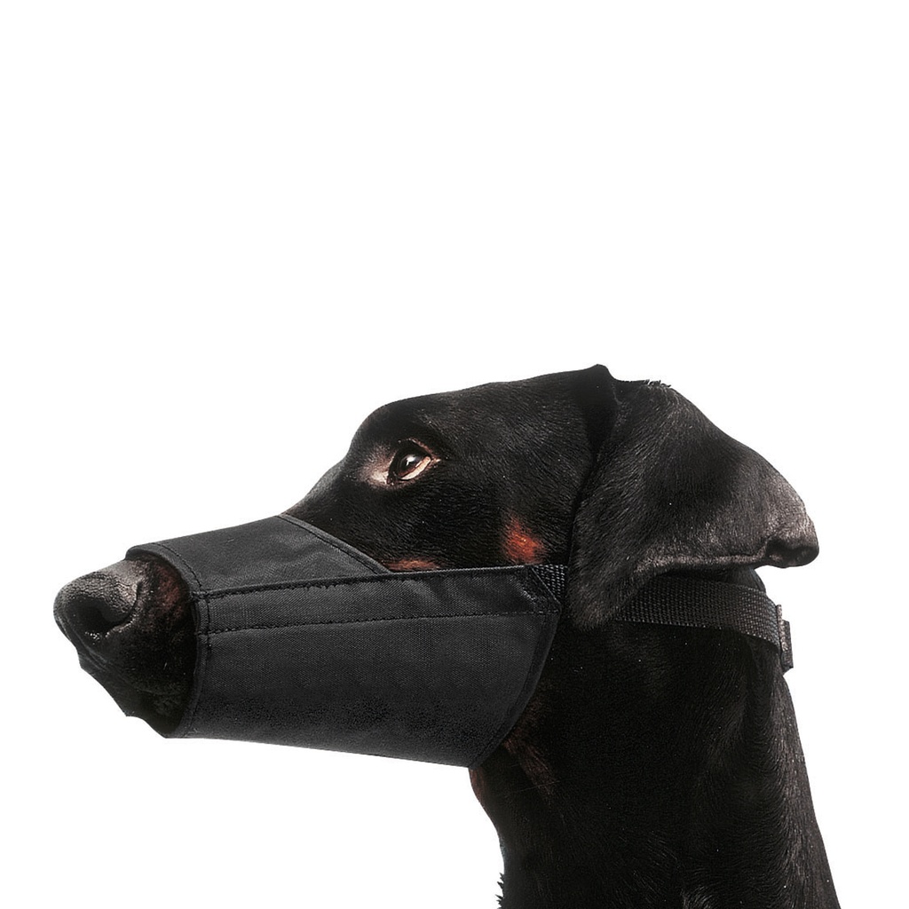 Dog Muzzle Set