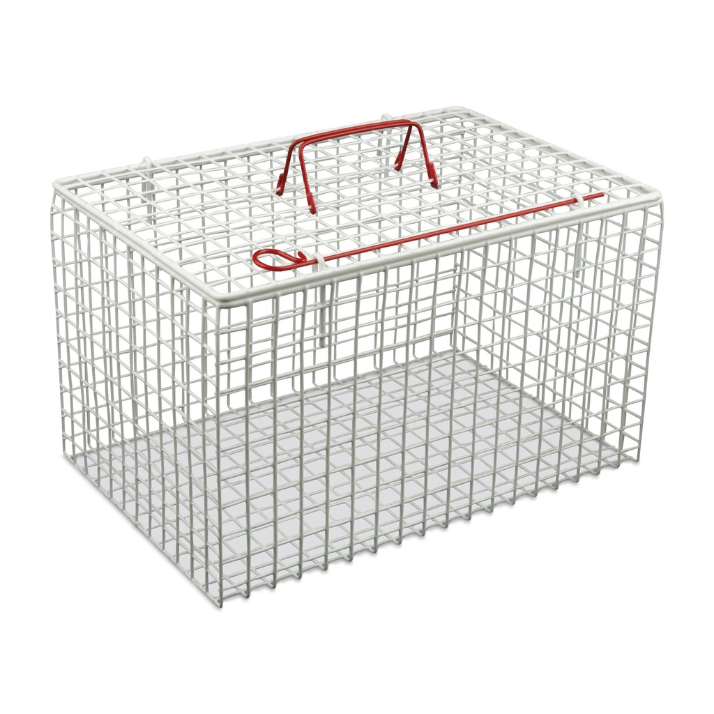 Cat Basket