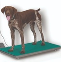 Floor Scale With Stainless Steel Top-WeighTronix