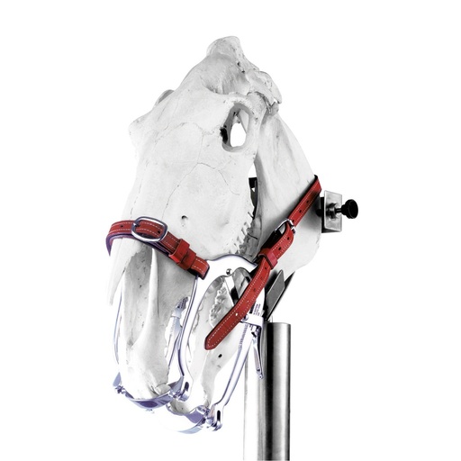 [177529] Speculum WORLD WIDE EQUINE 2020 Series