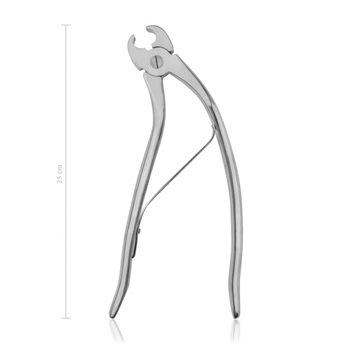 [177528] WWE Incisor and Canine Cutter