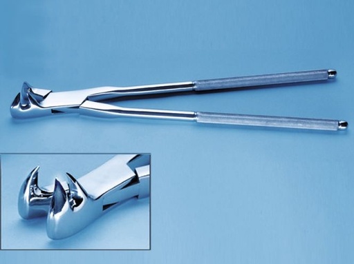 [177522] WWE Three Prong Molar Forceps (Right)