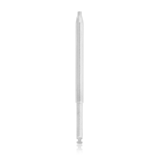 [197405] Screwdriver Blade, Torx 6, not cannulated, 50 mm dental coupling