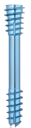 [191434] Titanium Compression Screw-CBS-, Ø 5.5 x L 32 mm