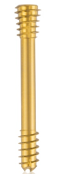[191455] Titanium Compression Screw-CBS-, Ø 6.5 x L 36 mm