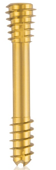 [191458] Titanium Compression Screw-CBS-, Ø 6.5 x L 45 mm